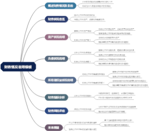 财务情况说明模板
