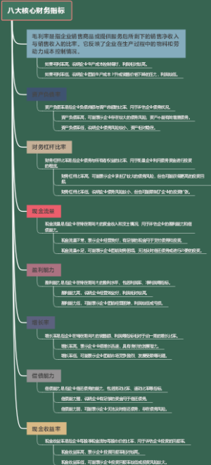 八大核心财务指标