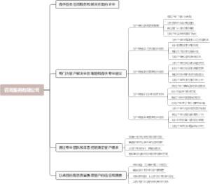 咨询服务有限公司