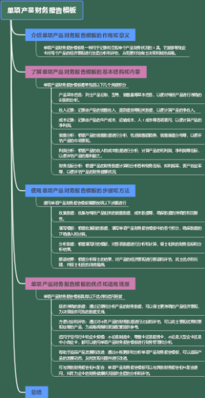 单项产品财务报告模板