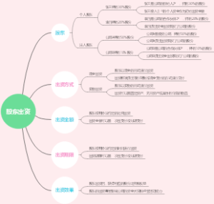 股东出资