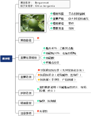 佛手柑