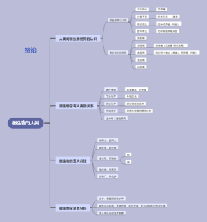 微生物与人类绪论