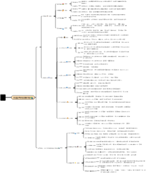 学习计划考研版