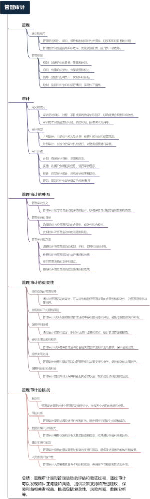 管理审计