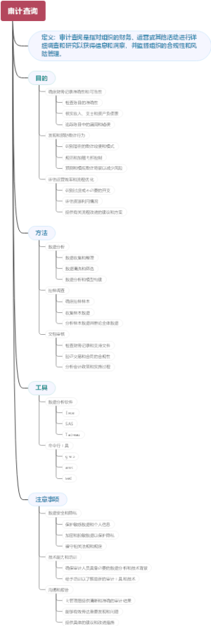 审计查询