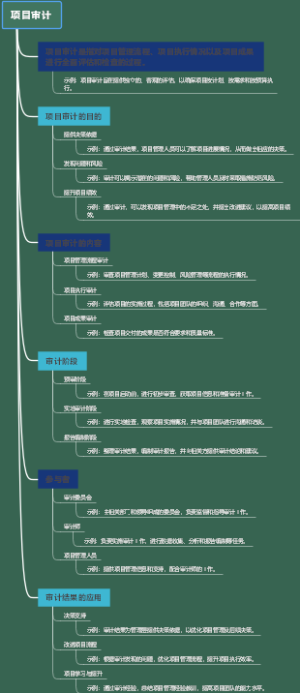 项目审计
