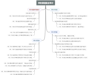 养老保险基金审计