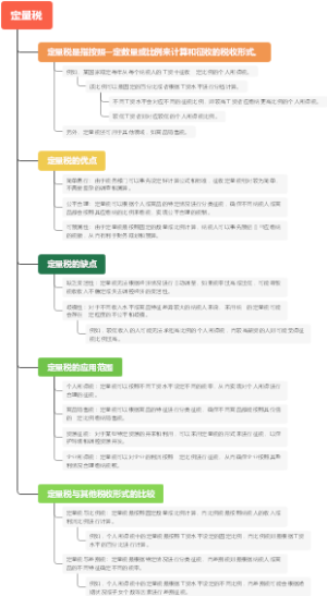 定量税