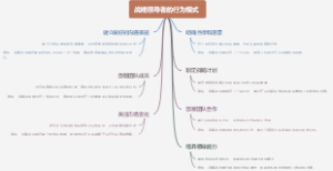 战略领导者的行为模式