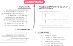 文化协同效应产生的作用机制