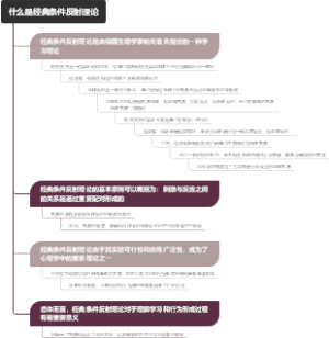什么是经典条件反射理论