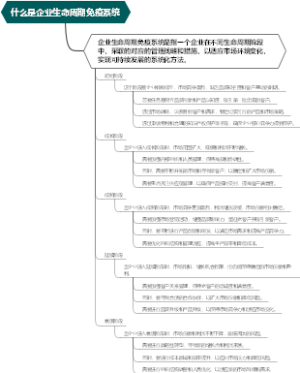 什么是企业生命周期免疫系统