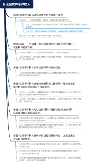 什么是软件著作权人