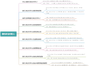 委托诉讼代理人