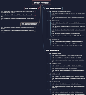 《年华沙—牛津规则》