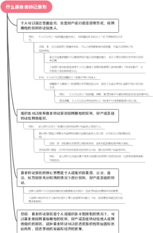什么是自由转让原则