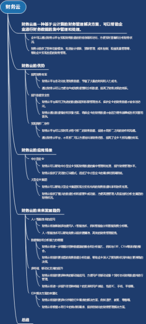 财务云