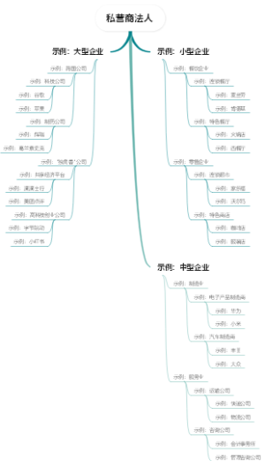 私营商法人