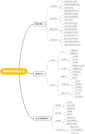 典型的民事违法行为