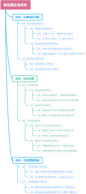 前景理论的实例