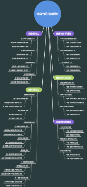 领导力的几种形态