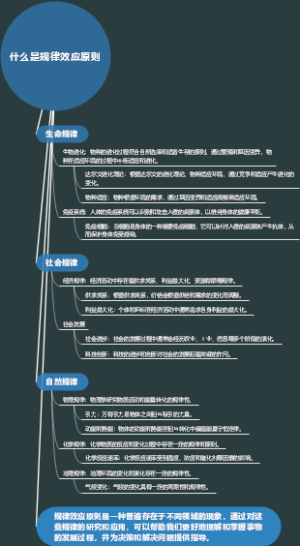 什么是规律效应原则