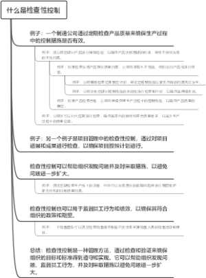 什么是检查性控制