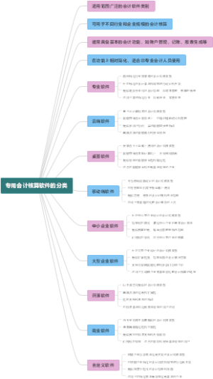 专用会计核算软件的分类
