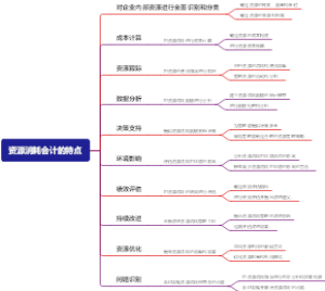 资源消耗会计的特点