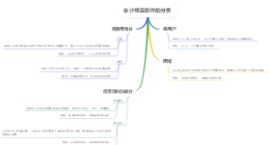 会计核算软件的分类