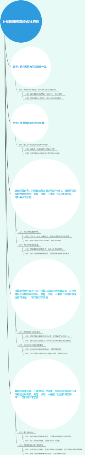 计划项目预算制的基本原则