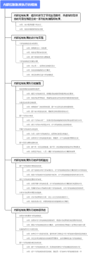 内部控制制度执行的措施
