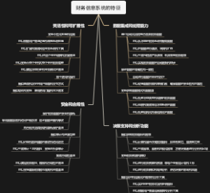 财务信息系统的特征