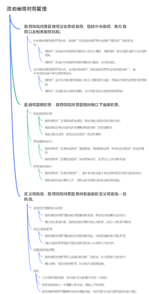 政府微观财务管理