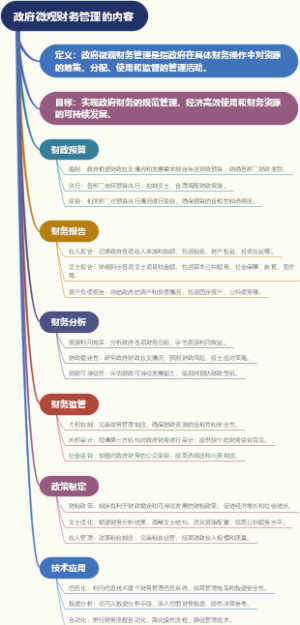 政府微观财务管理的内容