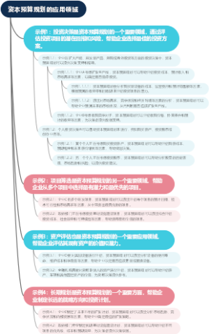 资本预算规划的应用领域