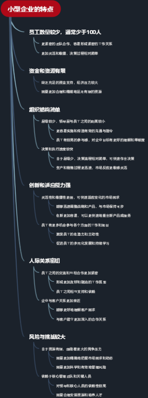 小型企业的特点