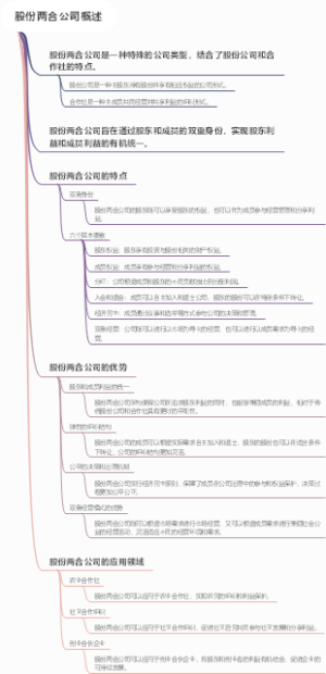 股份两合公司概述
