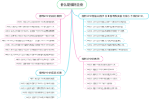 什么是福利企业