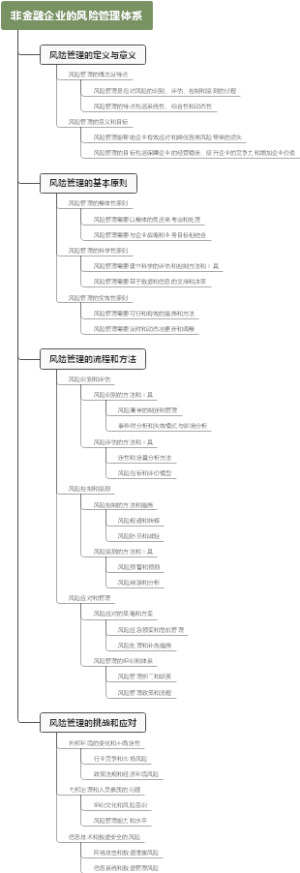 非金融企业的风险管理体系