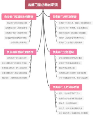 各部门副总裁的职责