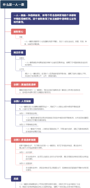 什么是一人一票