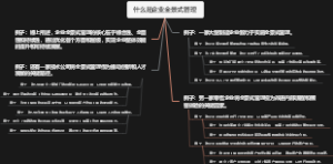 什么是企业全景式管理