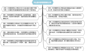 什么是内资有限责任公司