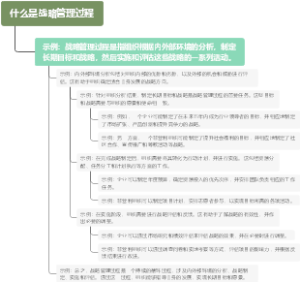 什么是战略管理过程