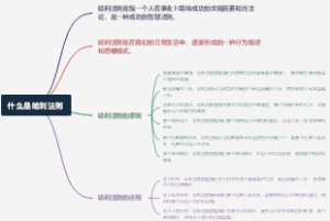 什么是哈利法则