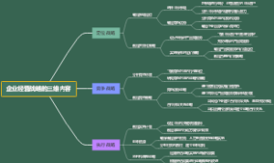 企业经营战略的三维内容