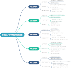 目前企业可持续发展战略类型