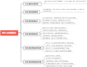 阿米巴经营概述